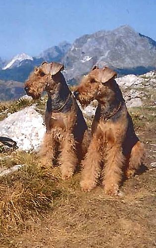 Zur�ck zur �bersicht