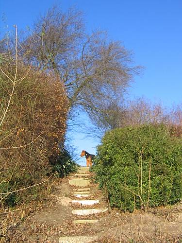 Zur�ck zur �bersicht