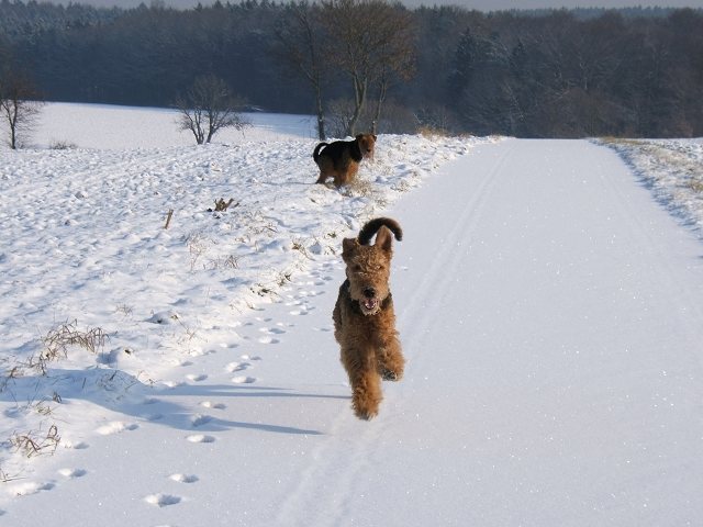 Zur�ck zur �bersicht