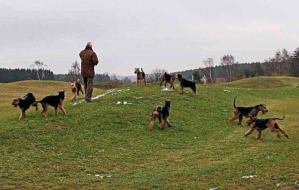 Zur�ck zur �bersicht