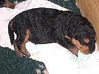 Klick