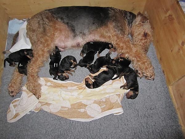 Zur�ck zur �bersicht