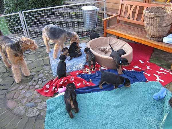 Zur�ck zur �bersicht