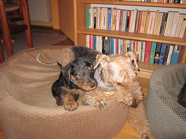 Zur�ck zur �bersicht