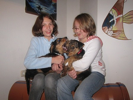 Zur�ck zur �bersicht