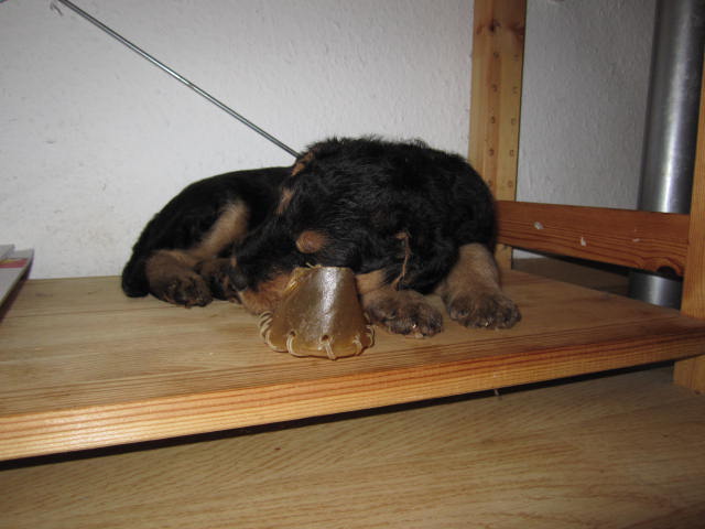 Zur�ck zur �bersicht