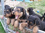 Klick